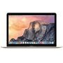 MacBook Apple Intel Core M Dual Core 12 8GB 512GB Dourado (MK4N2BZ/A)