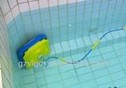 Golfinho automático de limpeza da piscina de natação/limpado
