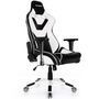 Cadeira Gamer AKRacing XTRA CP-3 Black White CP-LY (10224-9)